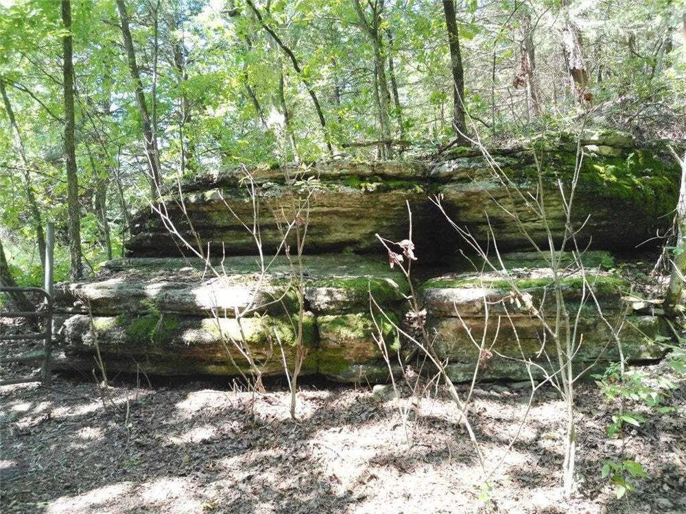 1029 Bear Hollow Rd, Pineville, MO 64856