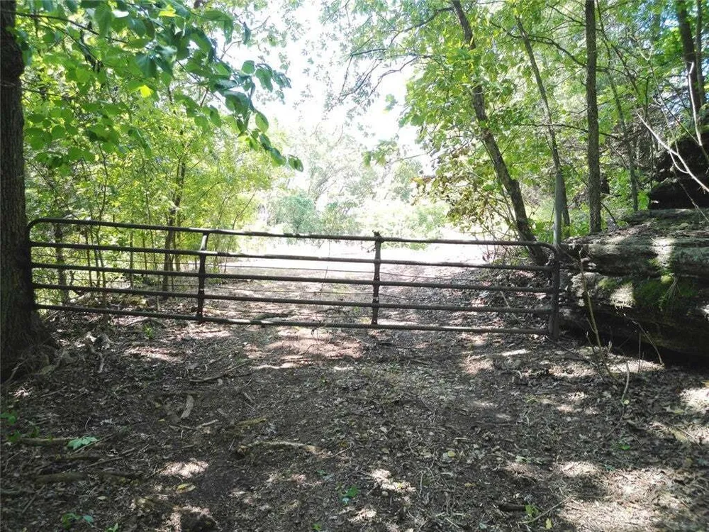 1029 Bear Hollow Rd, Pineville, MO 64856