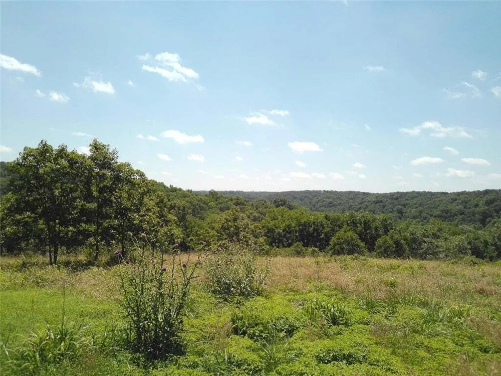 1029 Bear Hollow Rd, Pineville, MO 64856