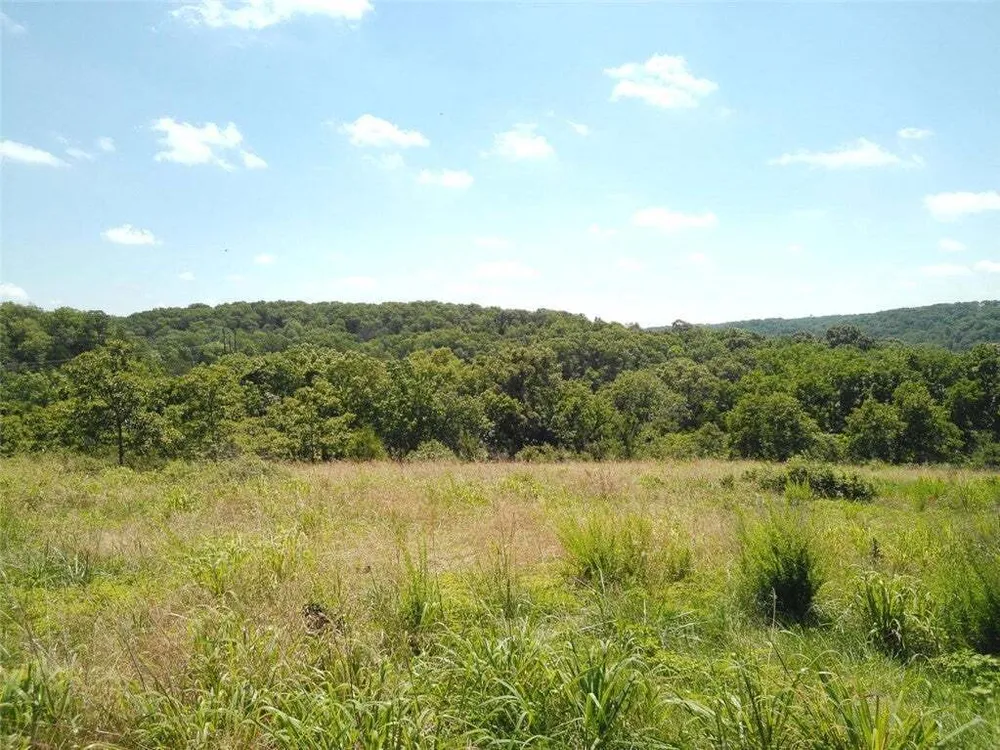1029 Bear Hollow Rd, Pineville, MO 64856