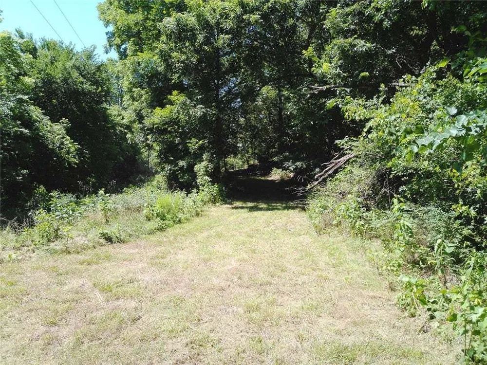 1029 Bear Hollow Rd, Pineville, MO 64856