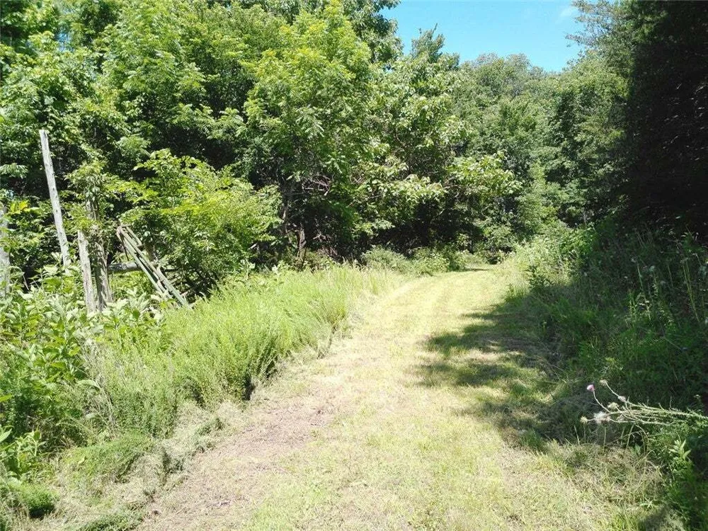 1029 Bear Hollow Rd, Pineville, MO 64856