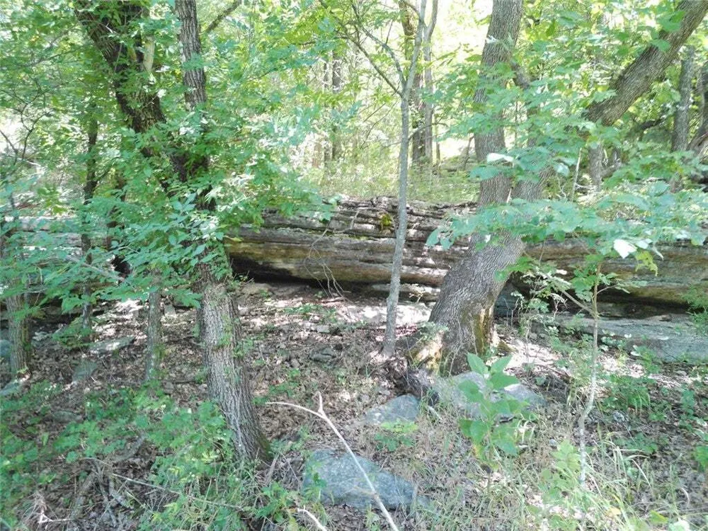 1029 Bear Hollow Rd, Pineville, MO 64856