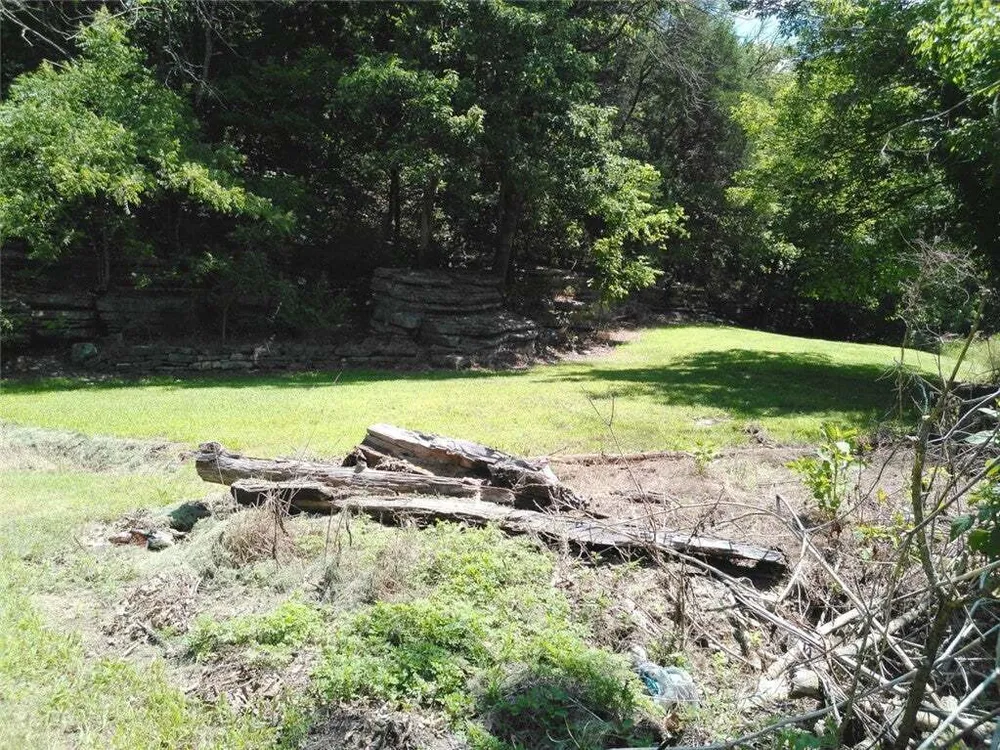 1029 Bear Hollow Rd, Pineville, MO 64856