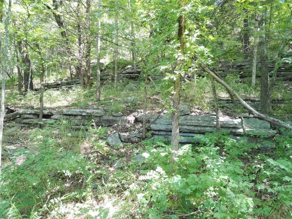 1029 Bear Hollow Rd, Pineville, MO 64856