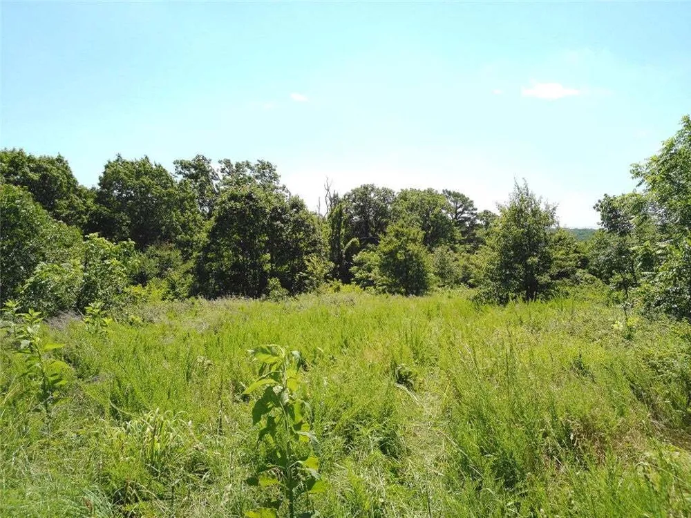 1029 Bear Hollow Rd, Pineville, MO 64856