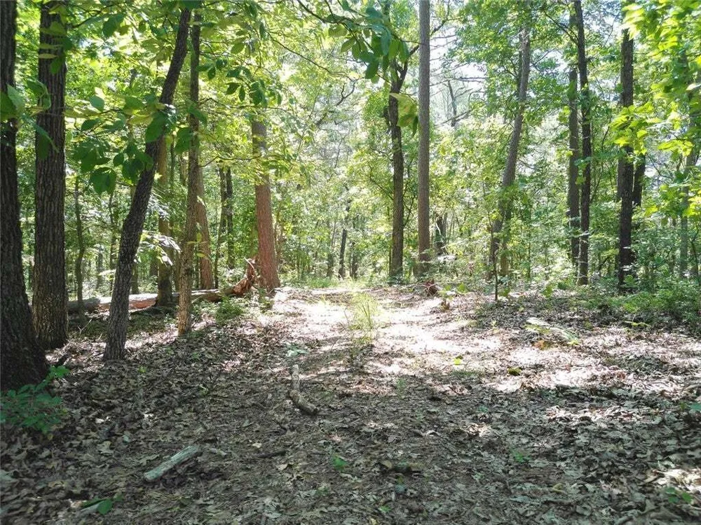 1029 Bear Hollow Rd, Pineville, MO 64856
