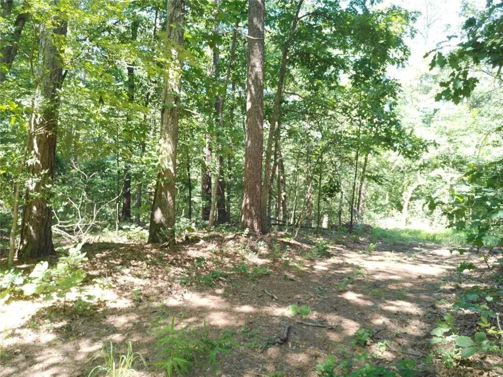 1029 Bear Hollow Rd, Pineville, MO 64856