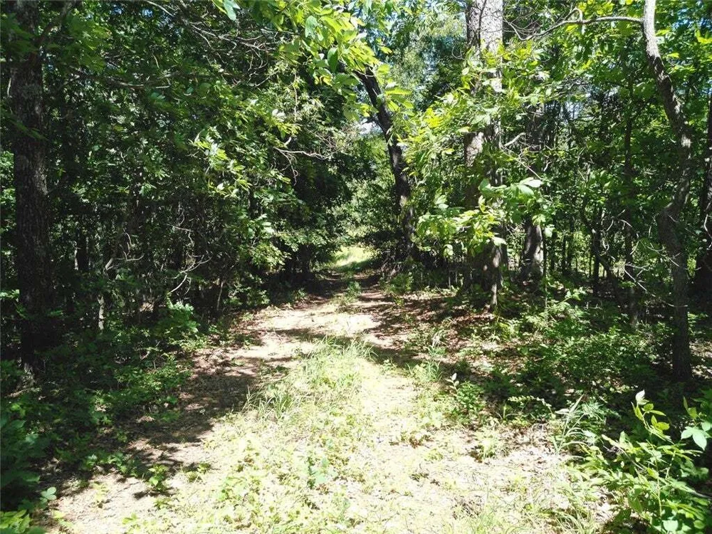 1029 Bear Hollow Rd, Pineville, MO 64856