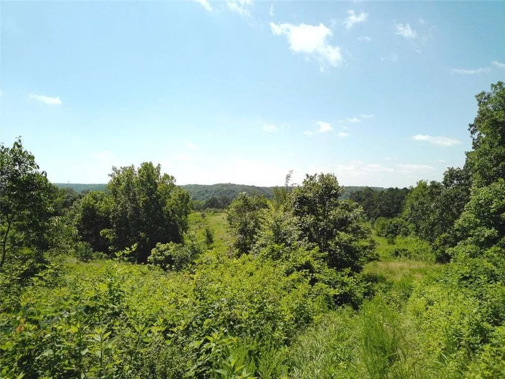 1029 Bear Hollow Rd, Pineville, MO 64856