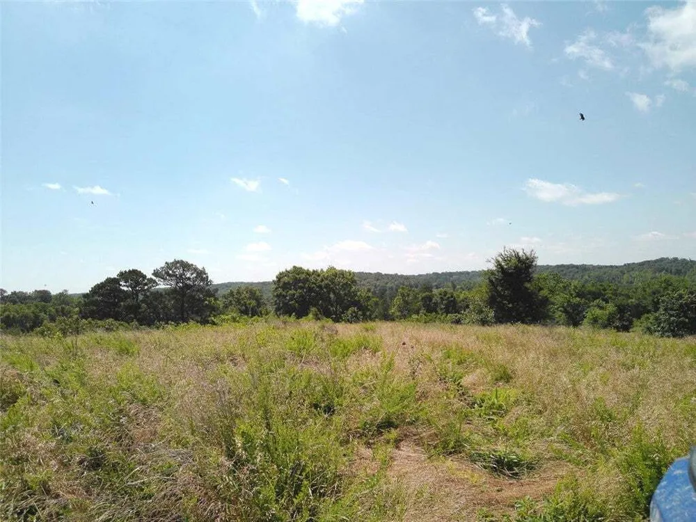 1029 Bear Hollow Rd, Pineville, MO 64856