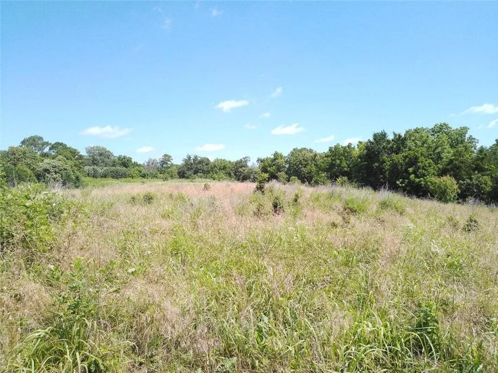 1029 Bear Hollow Rd, Pineville, MO 64856