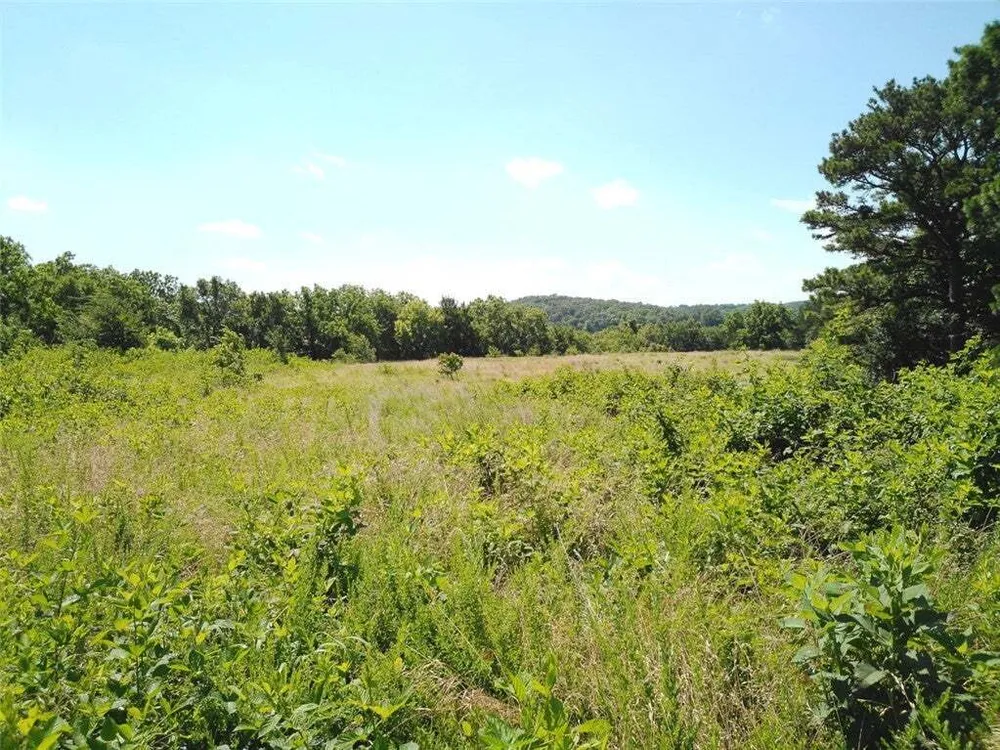 1029 Bear Hollow Rd, Pineville, MO 64856