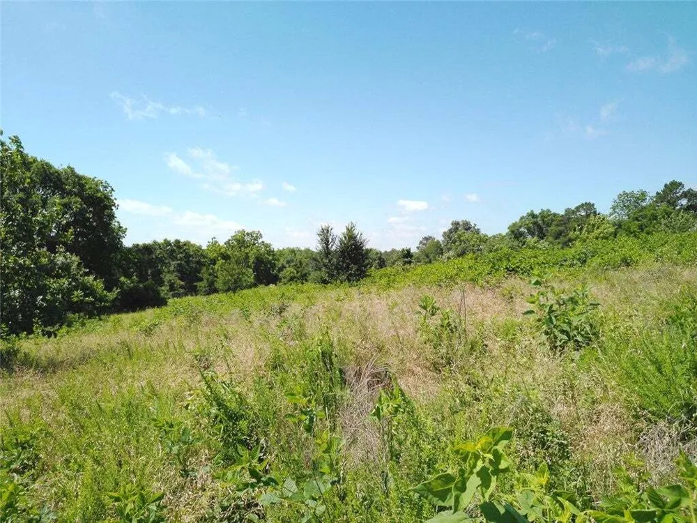 1029 Bear Hollow Rd, Pineville, MO 64856