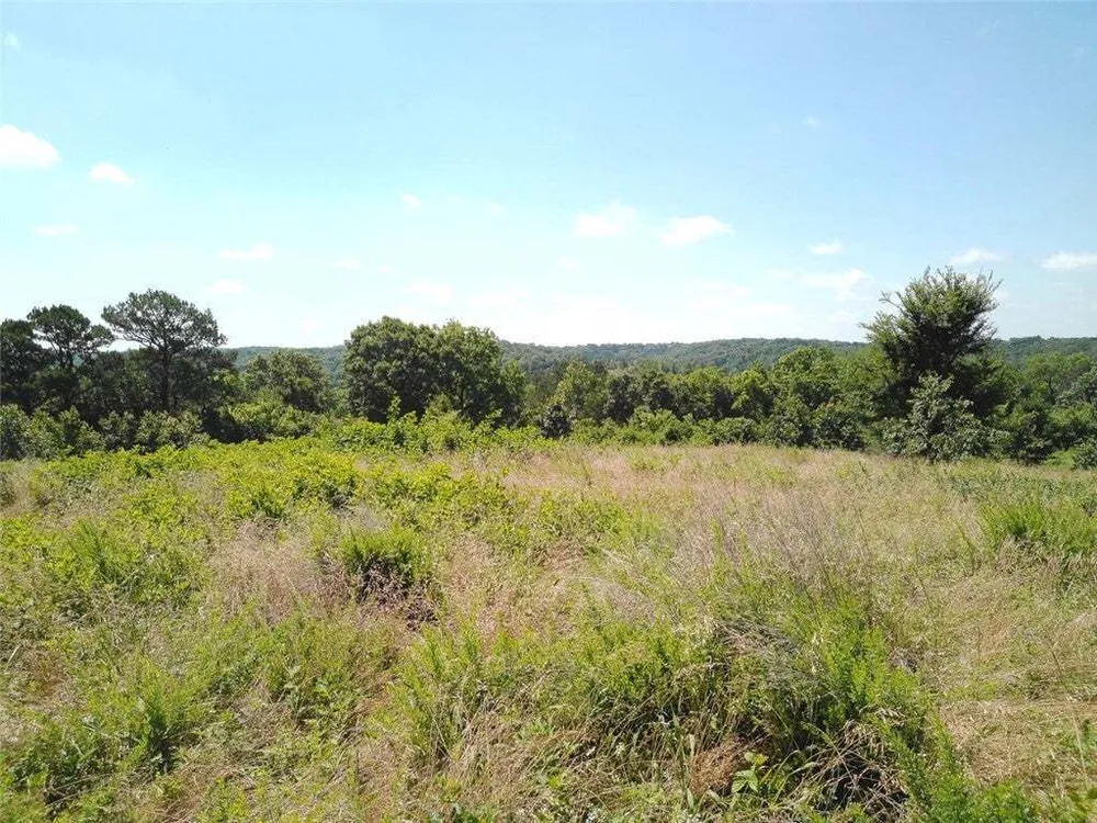 1029 Bear Hollow Rd, Pineville, MO 64856