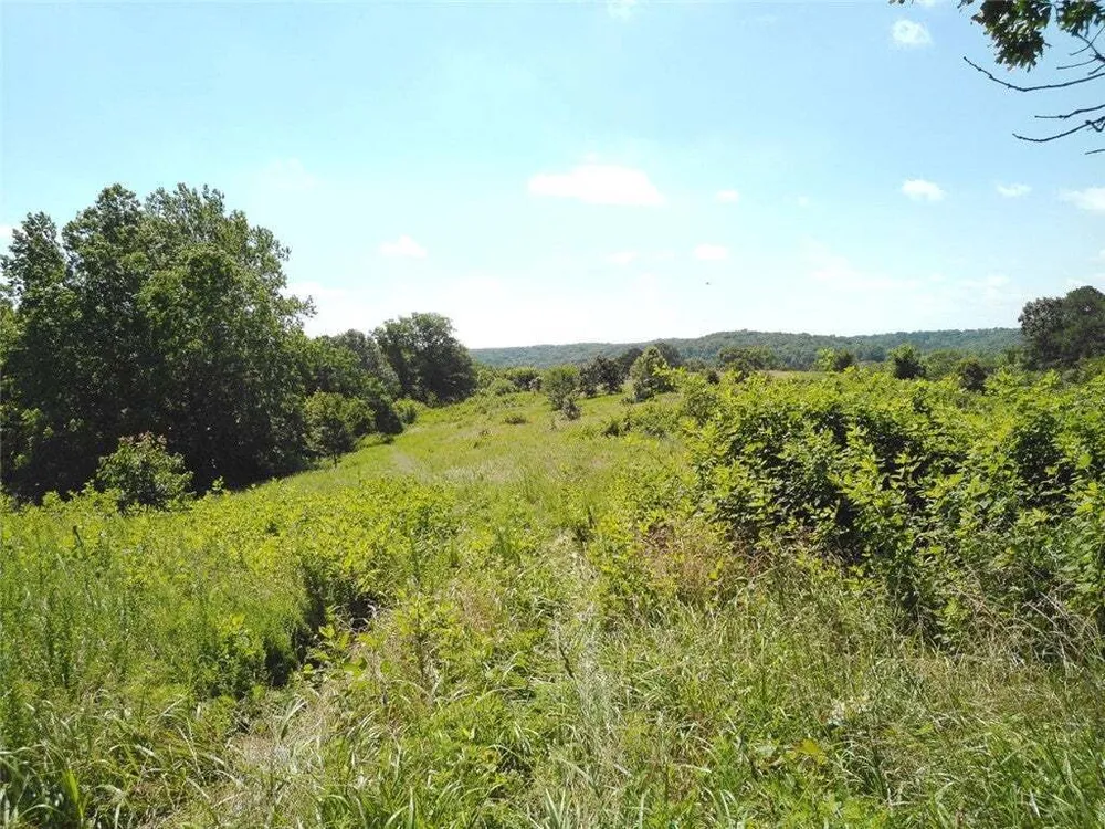 1029 Bear Hollow Rd, Pineville, MO 64856