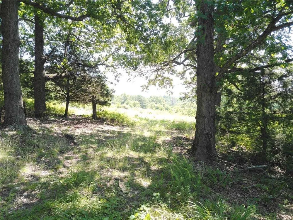 1029 Bear Hollow Rd, Pineville, MO 64856