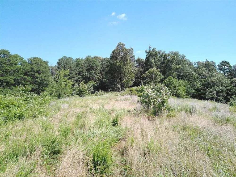 1029 Bear Hollow Rd, Pineville, MO 64856