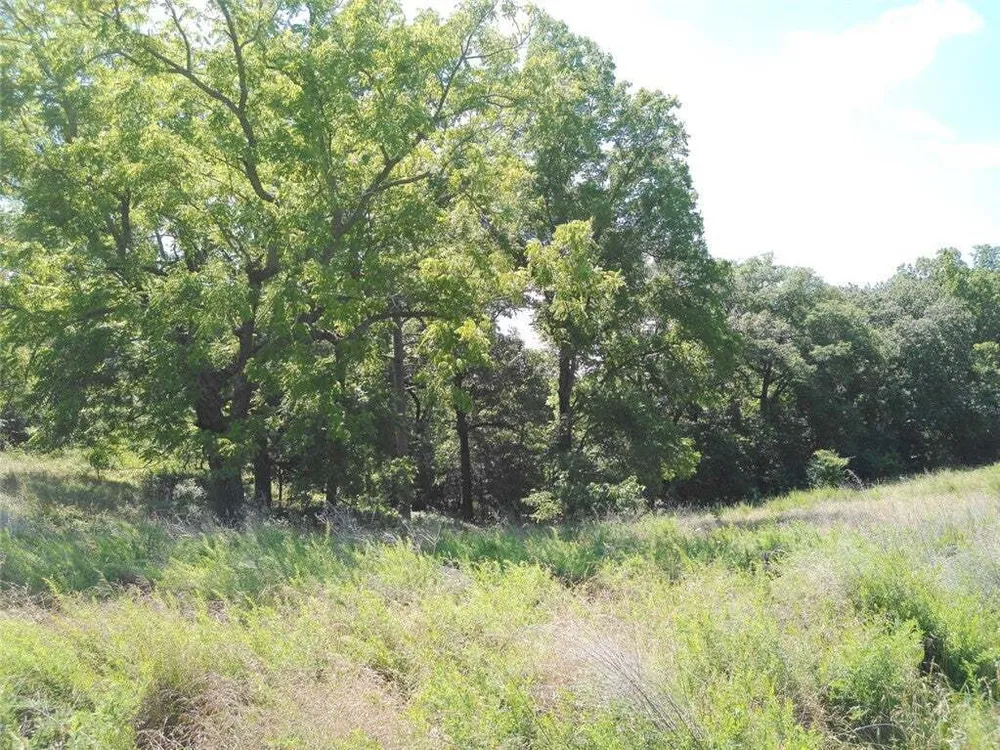 1029 Bear Hollow Rd, Pineville, MO 64856