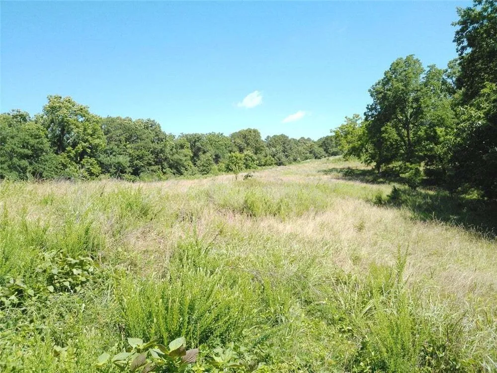 1029 Bear Hollow Rd, Pineville, MO 64856