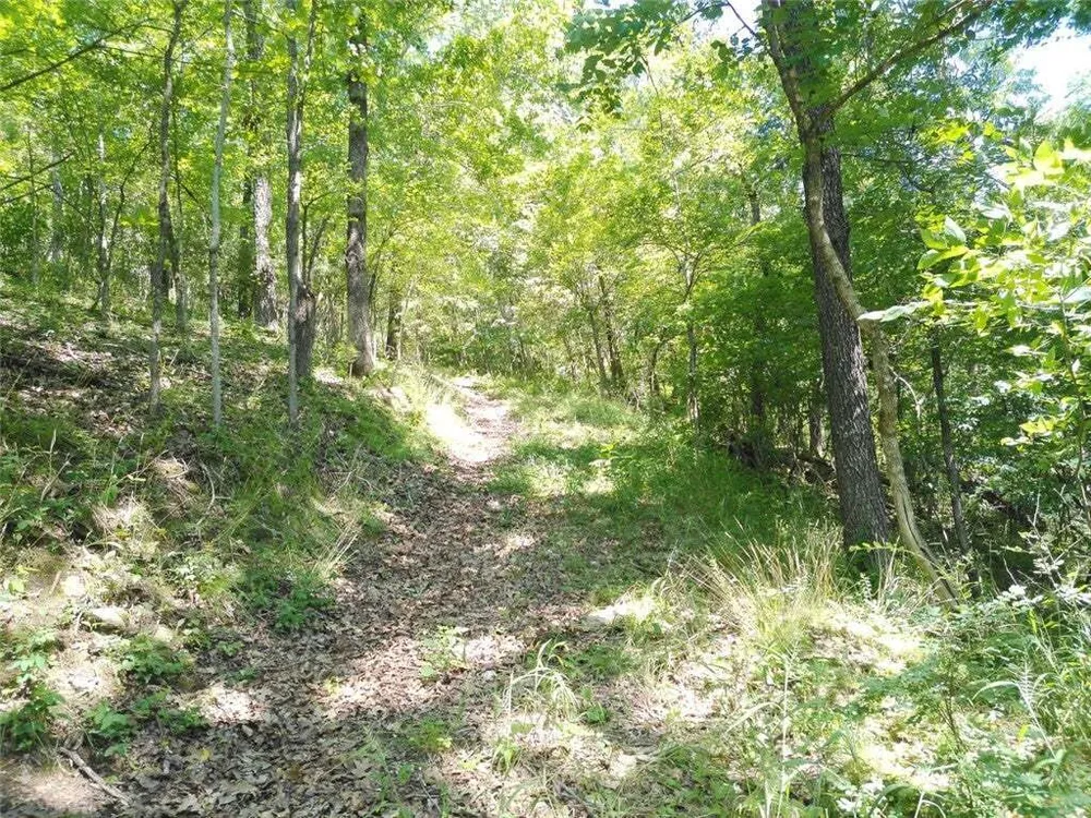 1029 Bear Hollow Rd, Pineville, MO 64856
