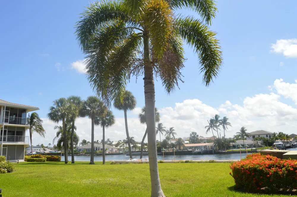 745 SE 19th Ave, Deerfield Beach, FL 33441