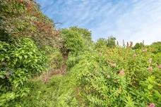 Queensway, Great Cornard, Sudbury