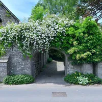 Property 25