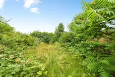 Pinfold Lane, Ruskington, Sleaford