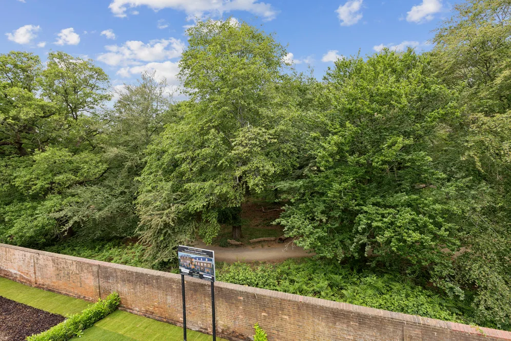 Shalford Lodge, Kingston Hill, Kingston Upon Thames, KT2 photo 11