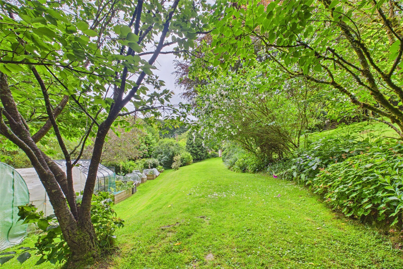 Deepdean, Ross-on-Wye, Herefordshire, HR9 Image 22