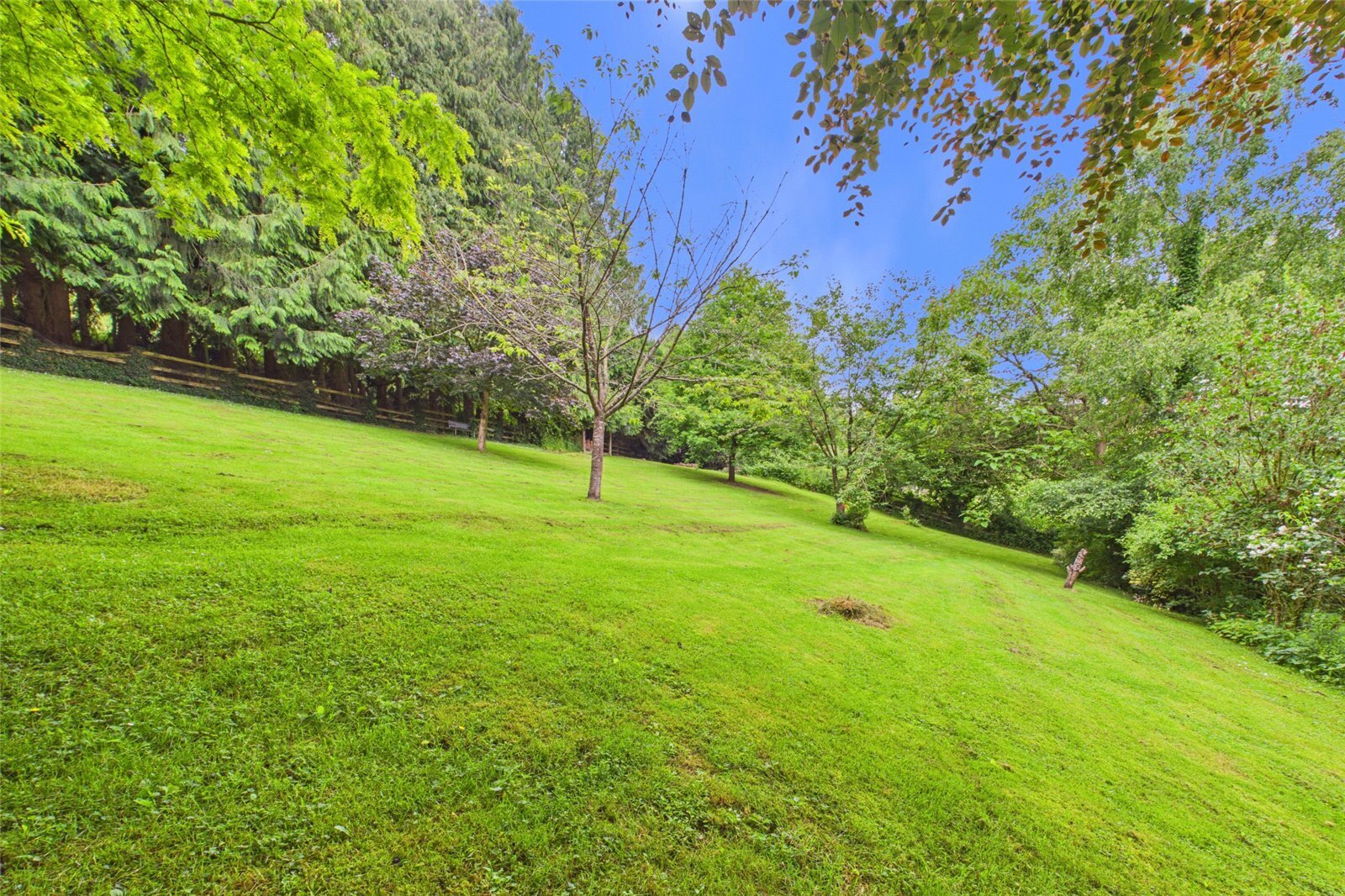 Deepdean, Ross-on-Wye, Herefordshire, HR9 Image 33