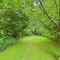 Property 38