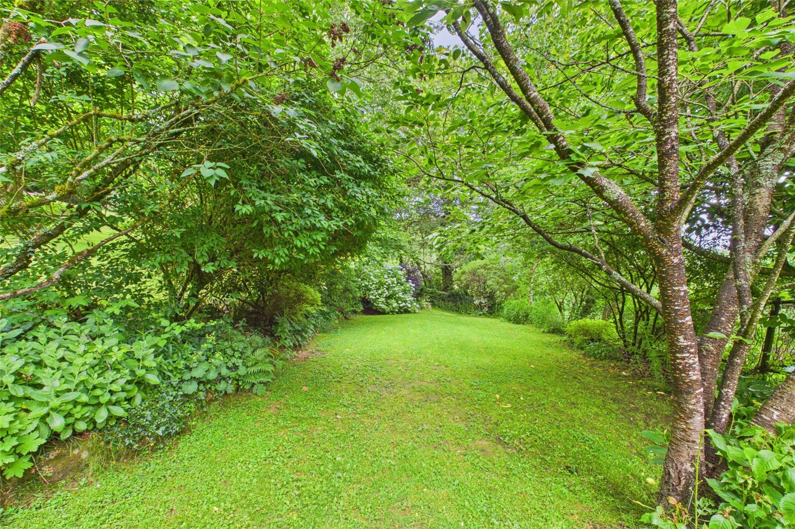 Deepdean, Ross-on-Wye, Herefordshire, HR9 Image 35