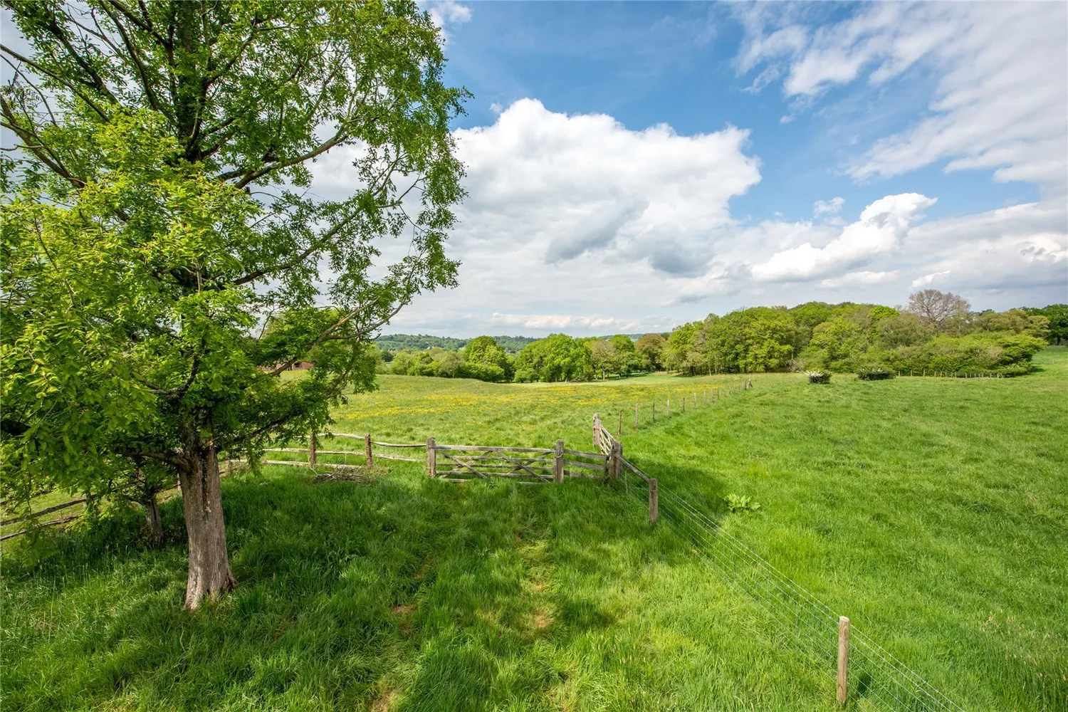 Red Lane, Dorking, RH5 photo 2