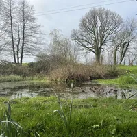 Property 23
