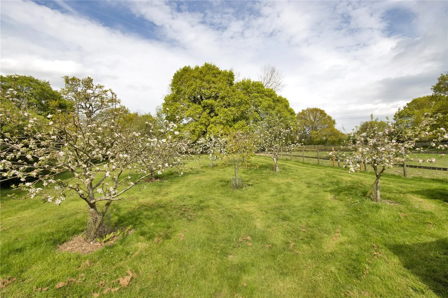 Mundy Bois Road, Egerton, TN27 photo 10