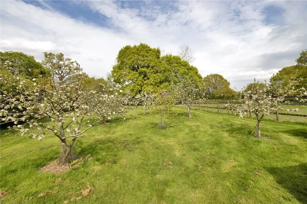 Mundy Bois Road, Egerton, TN27 photo 10