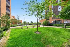 East Acton Lane, London