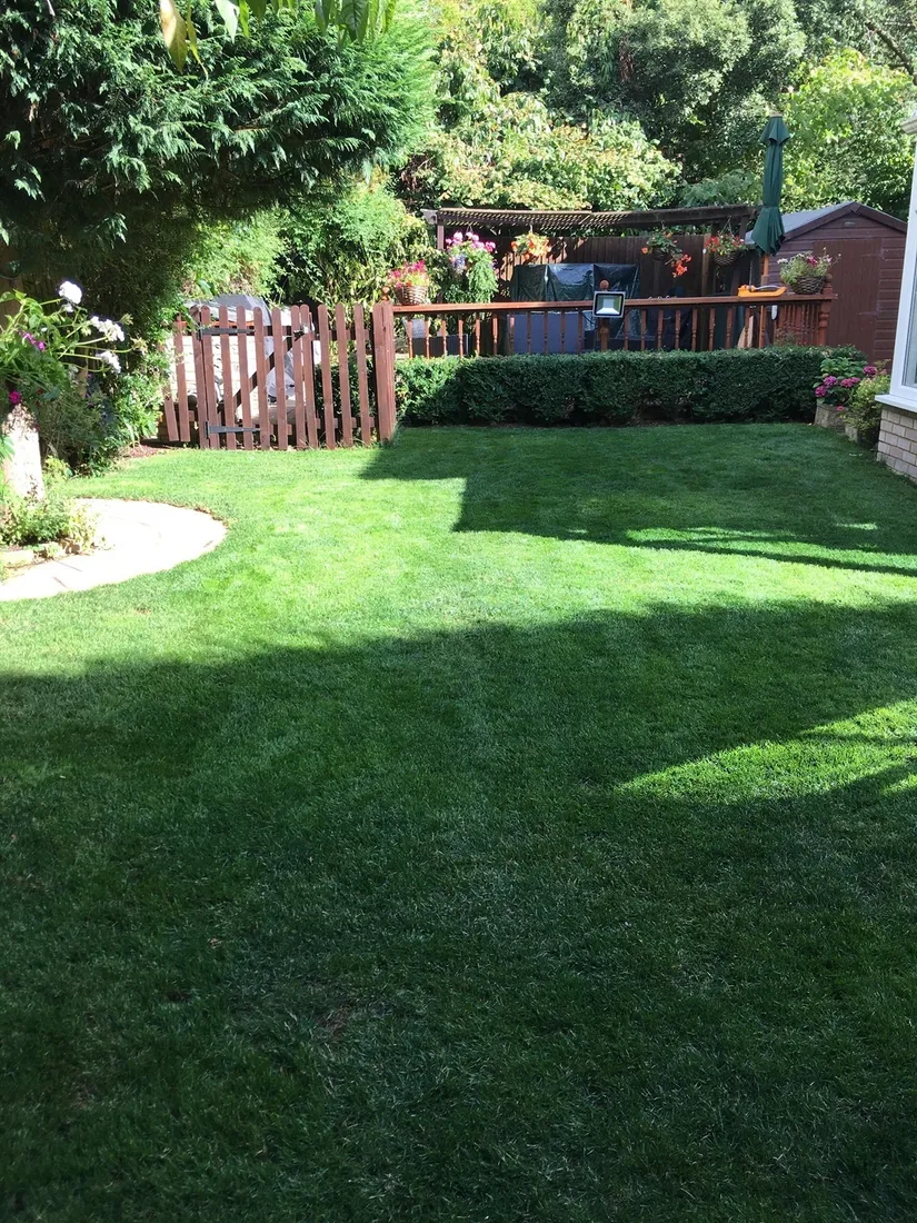 Property photo 22