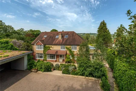Deepdene Wood, Dorking, RH5
