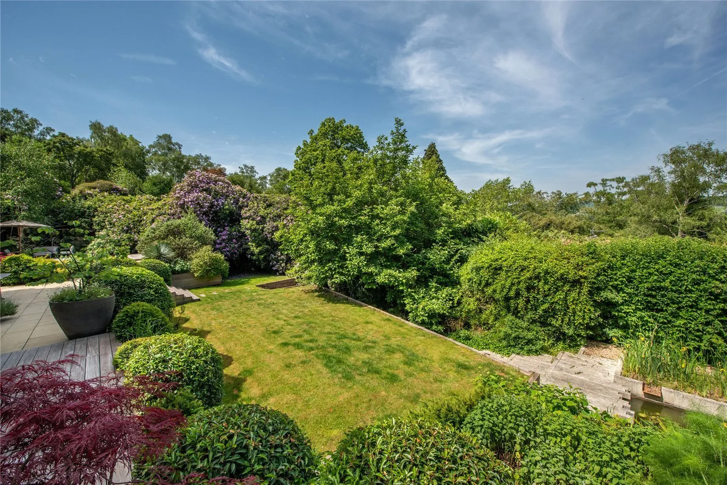 Deepdene Wood, Dorking, RH5 photo 6