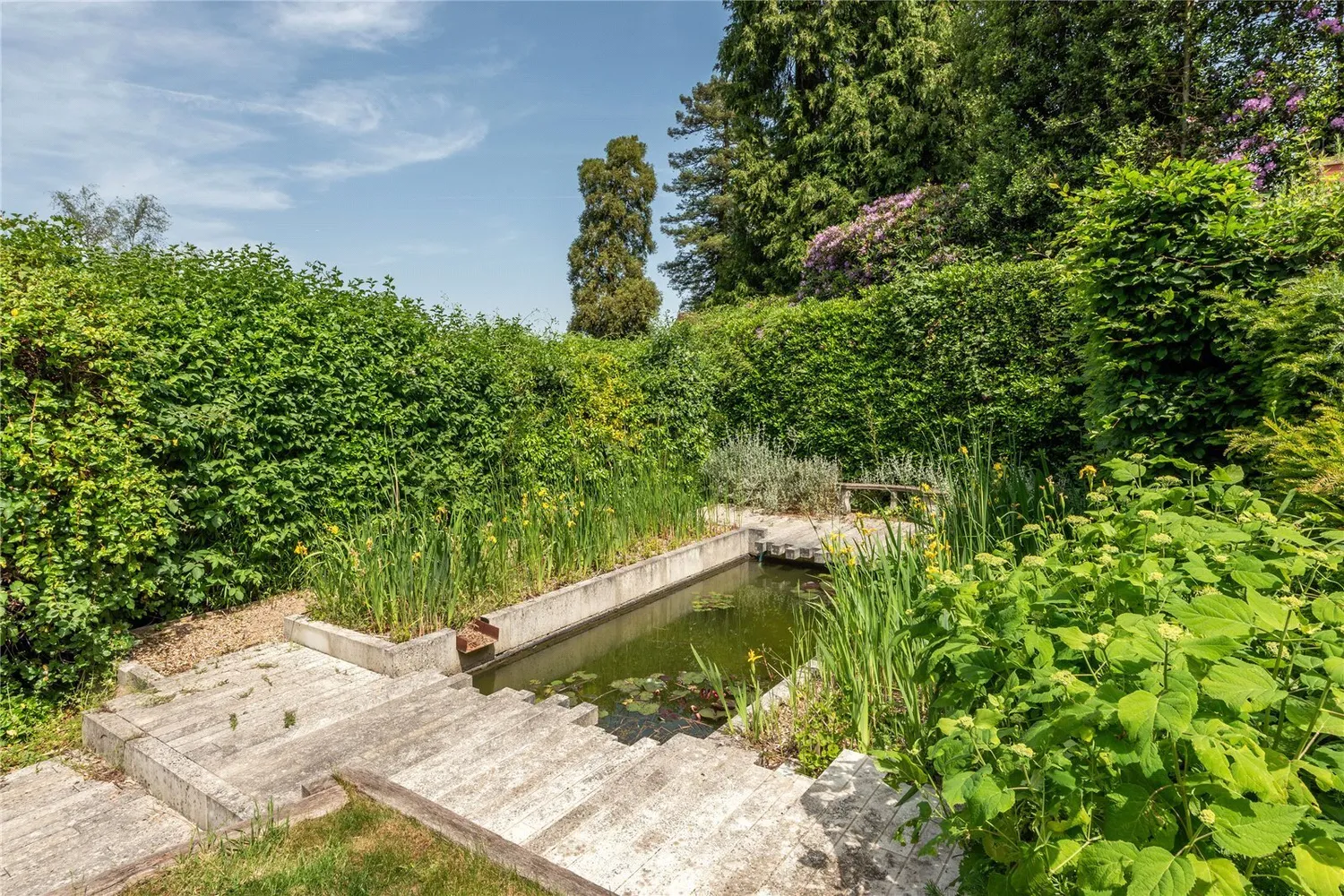 Deepdene Wood, Dorking, RH5 photo 32