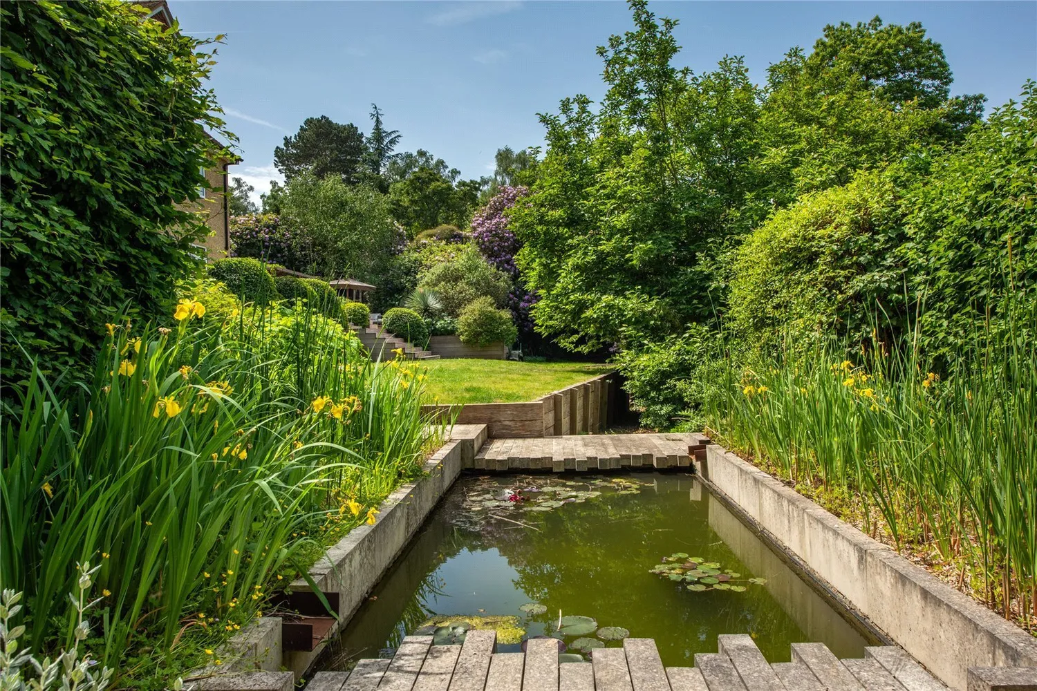 Deepdene Wood, Dorking, RH5 photo 17