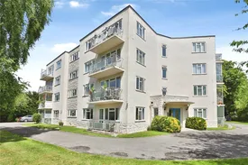 Property responsive