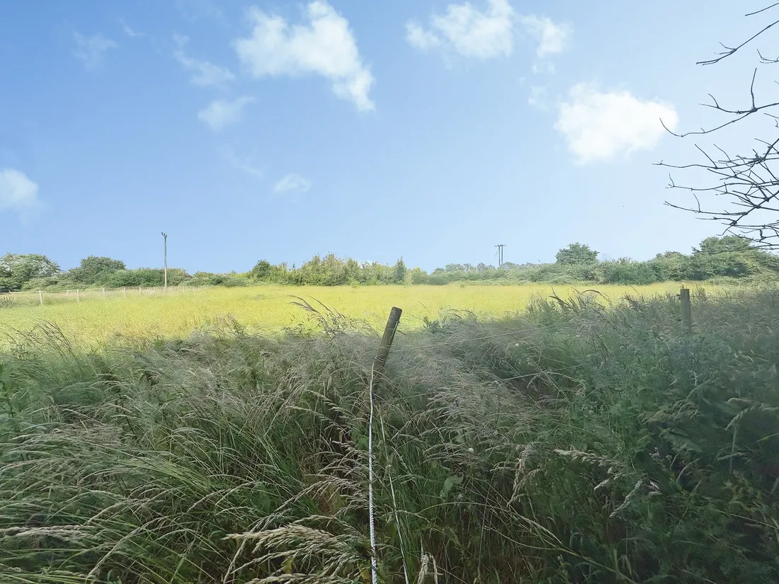 Property photo 17