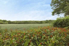 Elmers Road, Ockley, Dorking