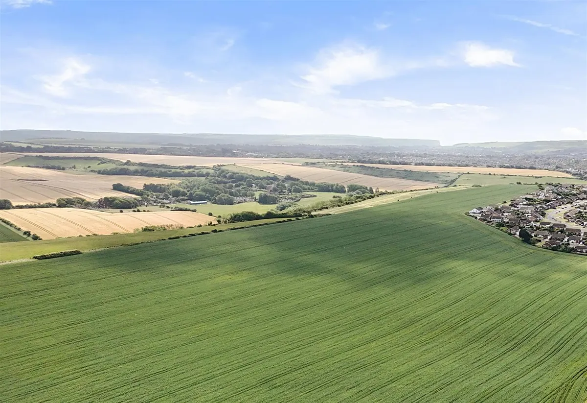 on the South Downs / Coastal, East Sussex