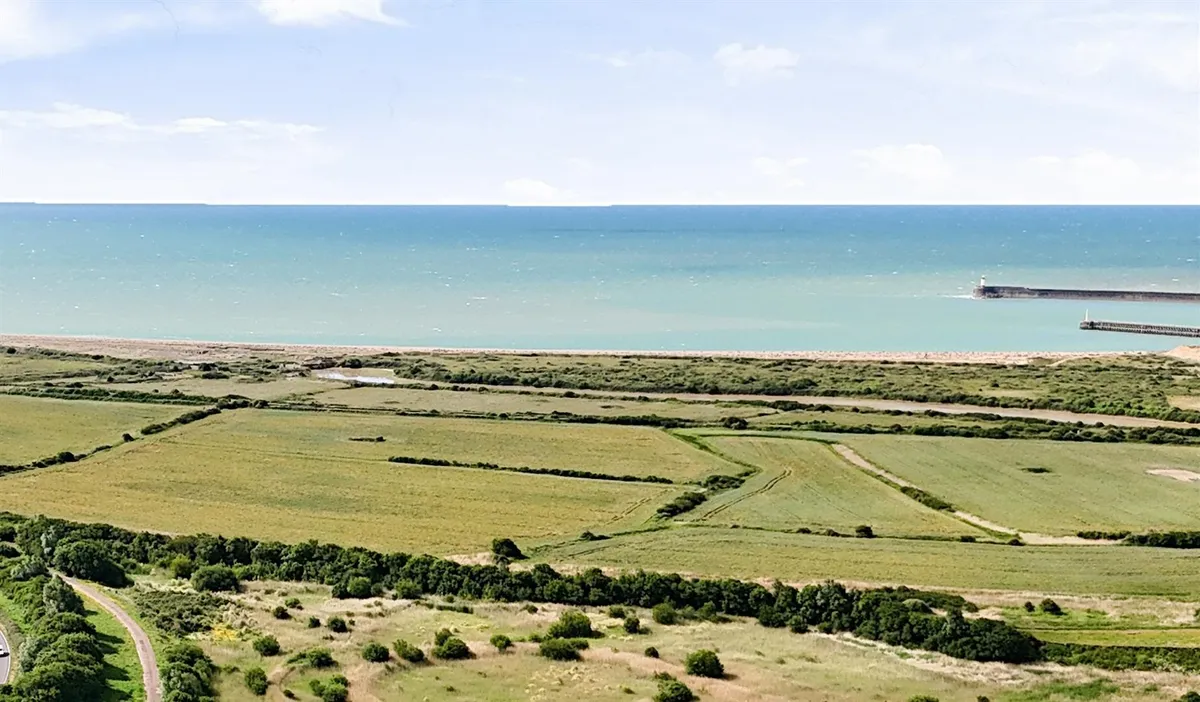 on the South Downs / Coastal, East Sussex