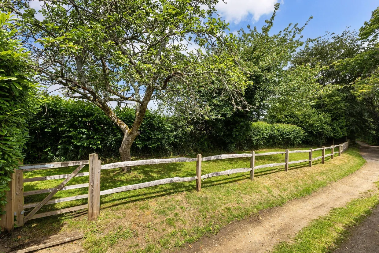 Slade Lane, Rogate, GU31 photo 41